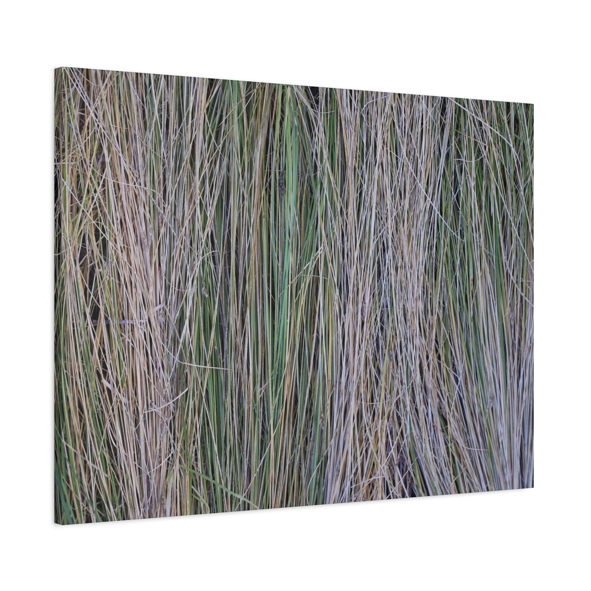 Whispers of Grass - Unique Frameless Canvas Wall Art - Art By Earth