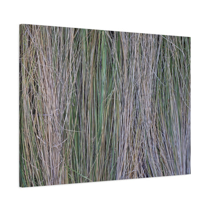 Whispers of Grass - Unique Frameless Canvas Wall Art - Art By Earth