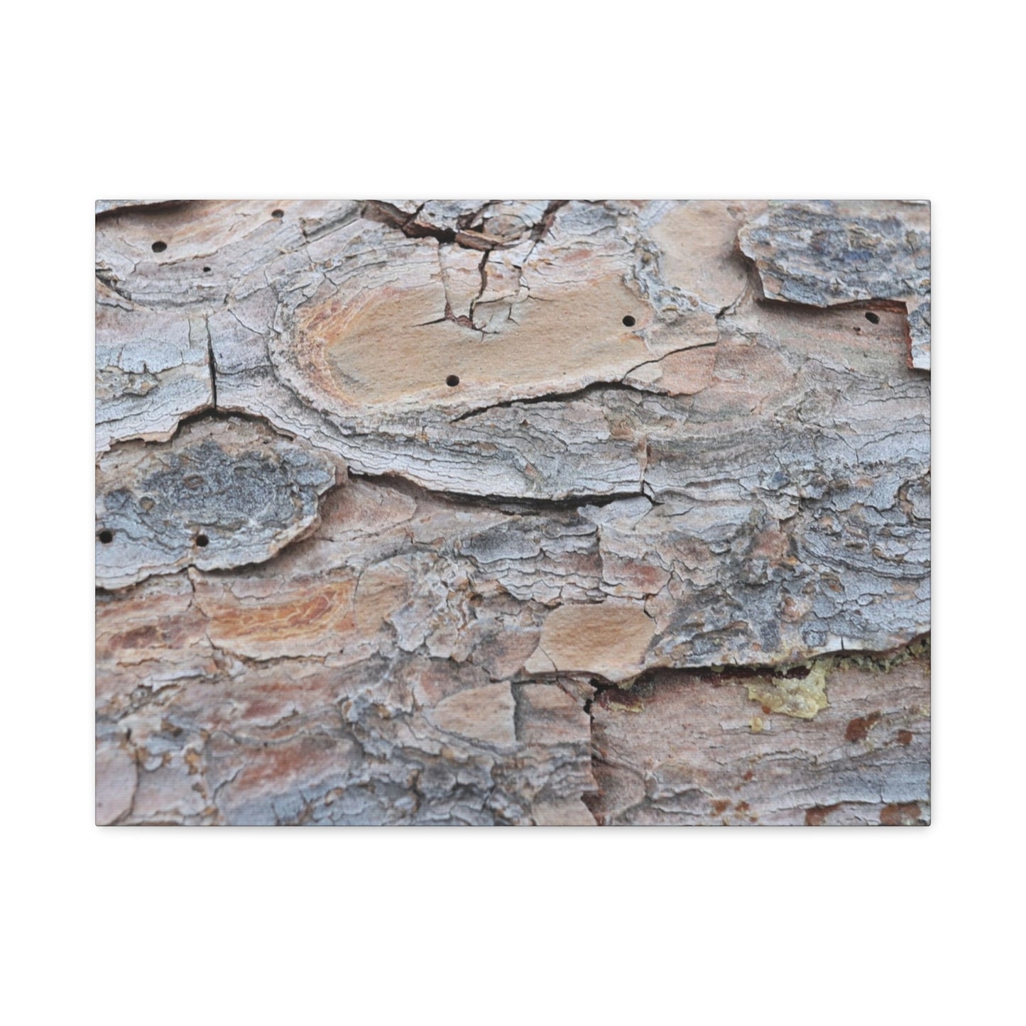 Textural Geology - Unique Frameless Canvas Wall Art - Art By Earth