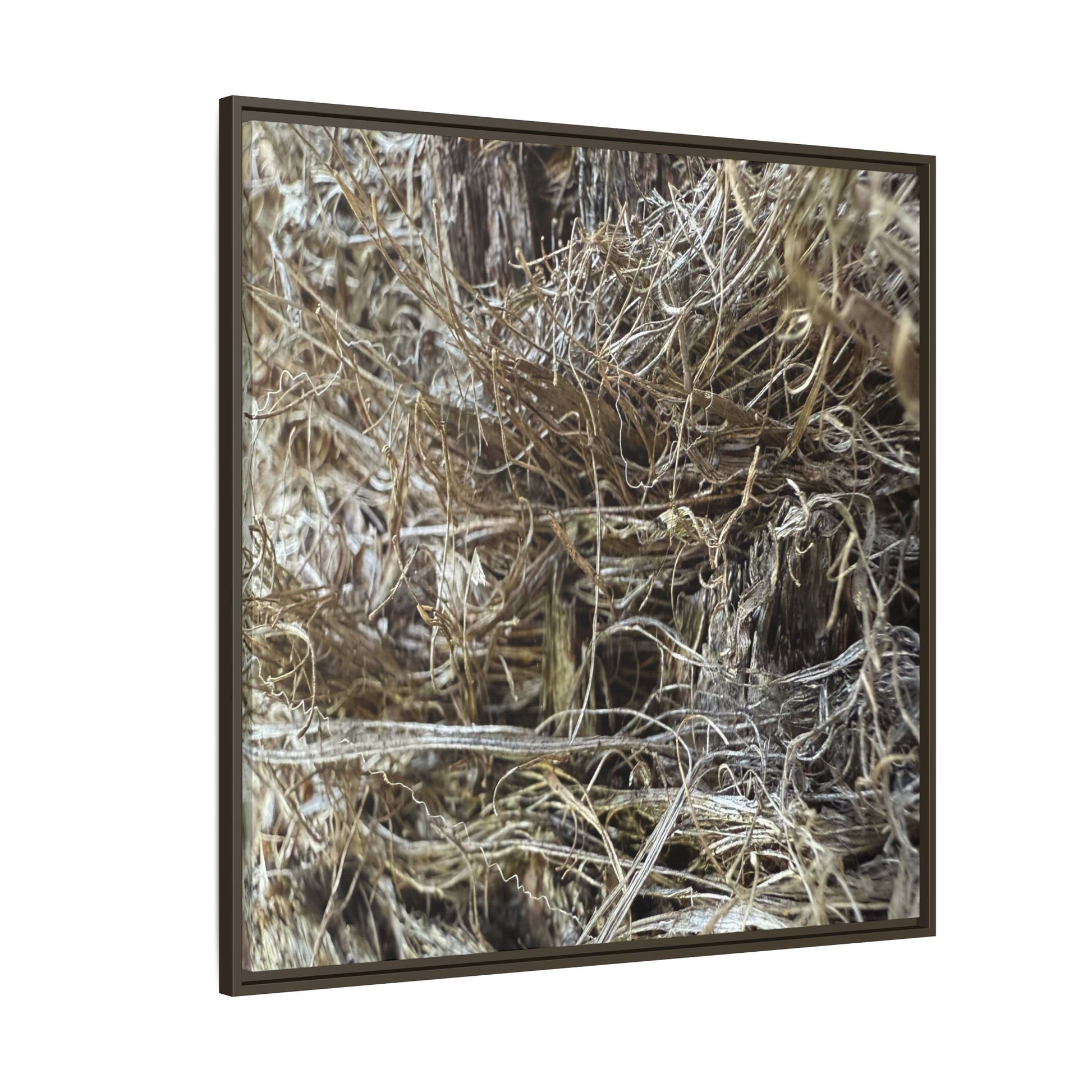 Tangled Whispers of Autumn - Unique Stretched Canvas Wall Art - Art By Earth