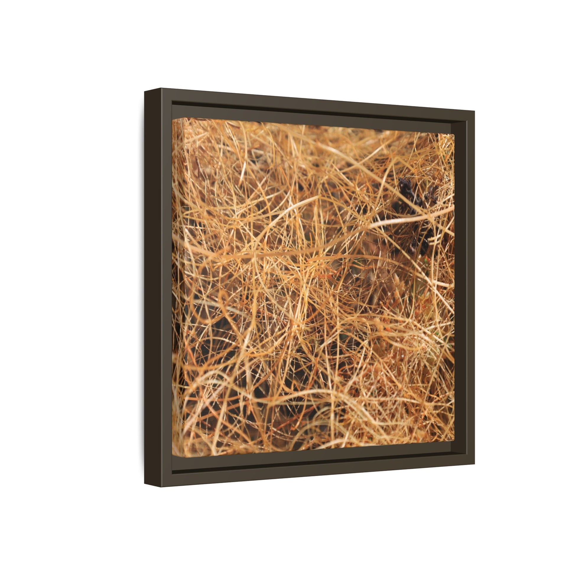Dried Grass - Unique Stretched Canvas Wall Art - Art By Earth