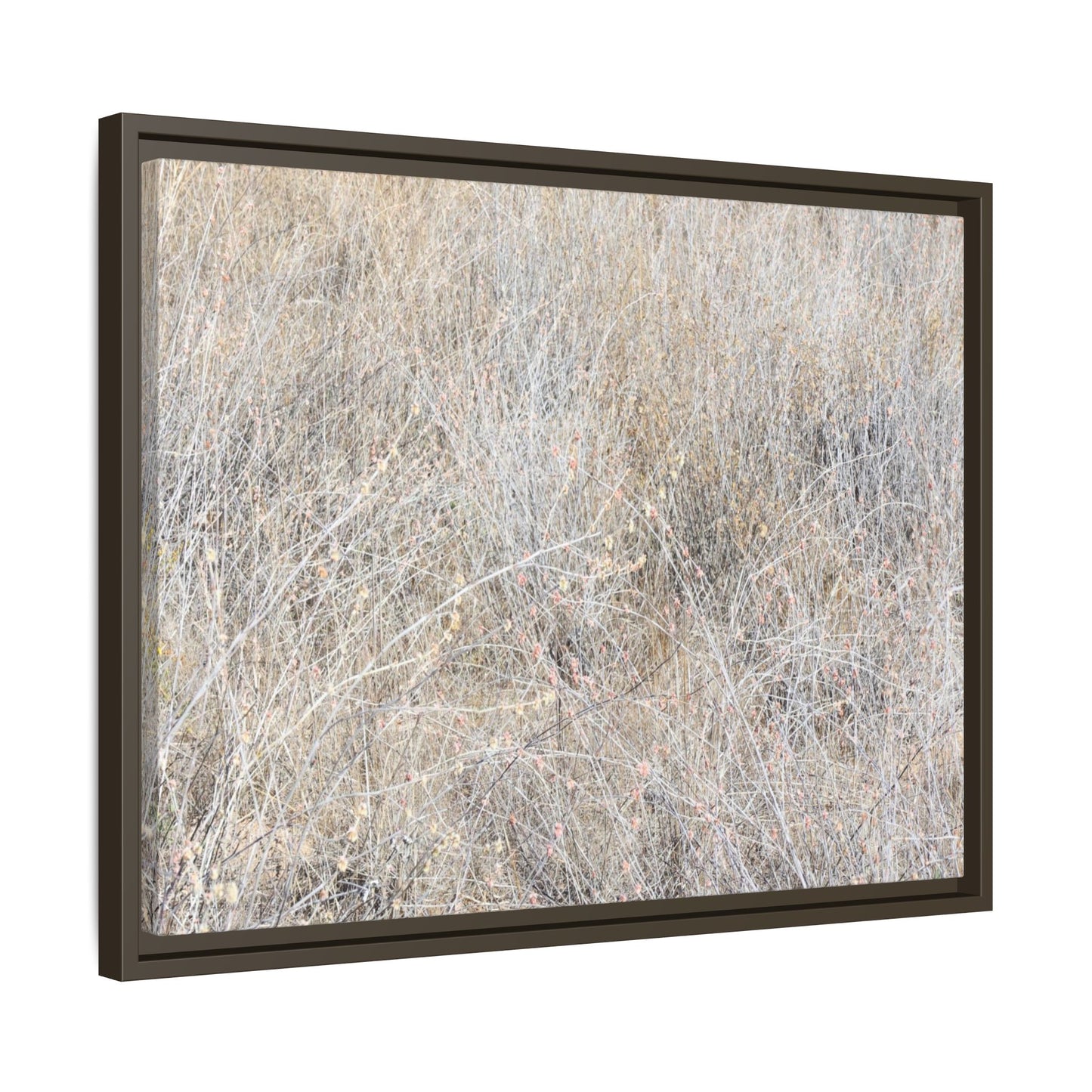 Whispers of Dry Grass - Unique Stretched Canvas Wall Art - Art By Earth