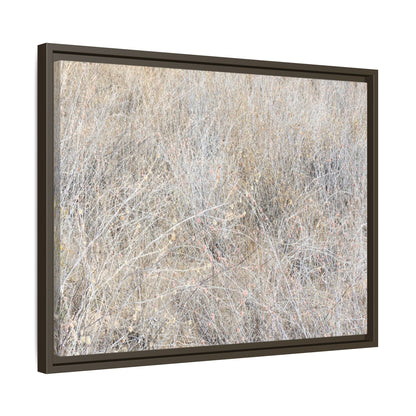 Whispers of Dry Grass - Unique Stretched Canvas Wall Art - Art By Earth