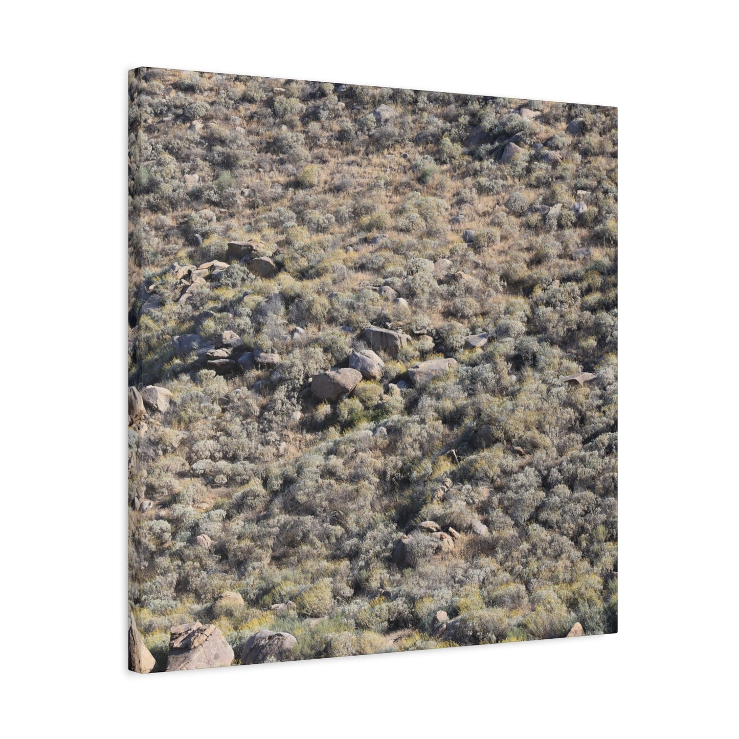 Desert Landscape with Scattered Rocks and Sage - Unique Frameless Canvas Wall Art - Art By Earth
