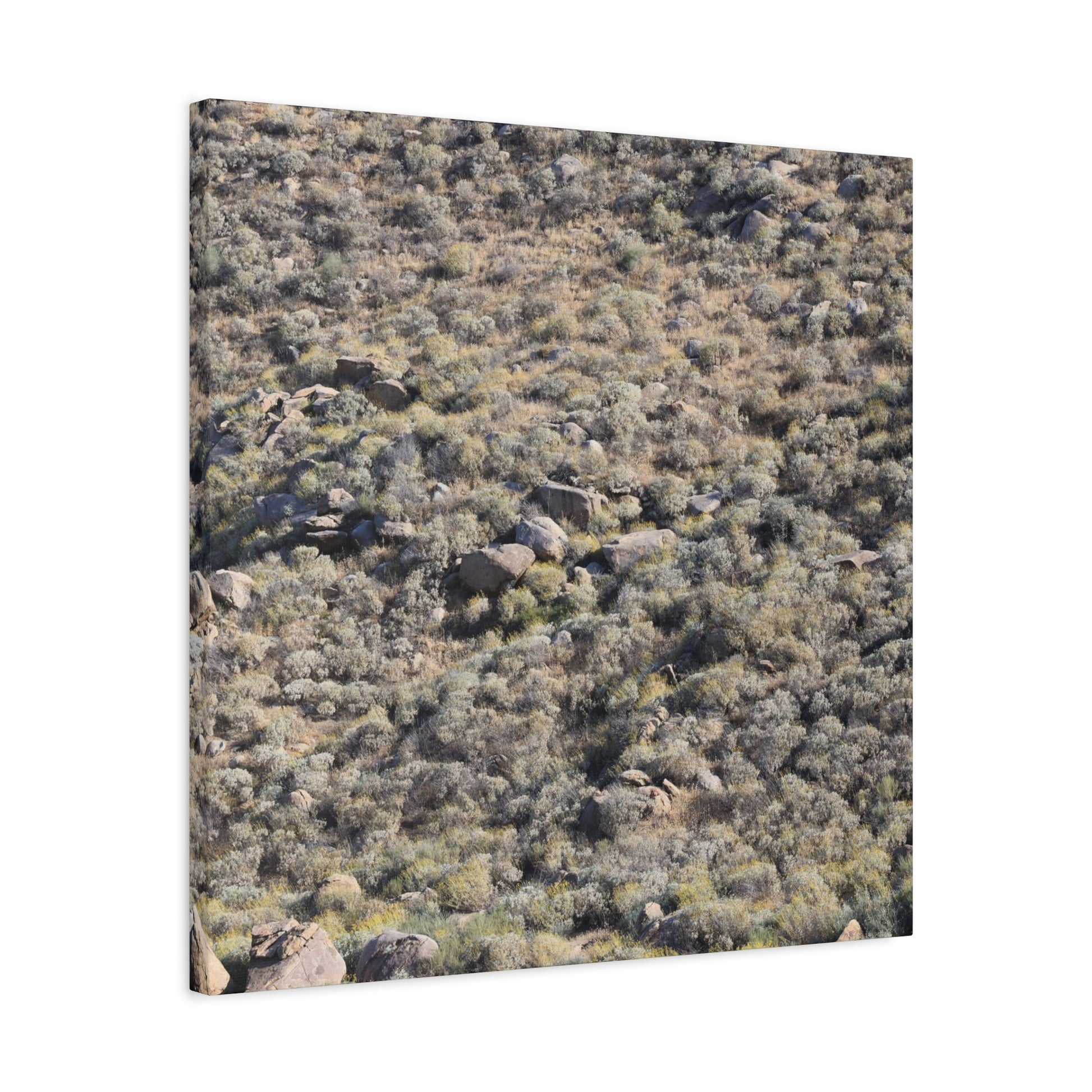 Desert Landscape with Scattered Rocks and Sage - Unique Frameless Canvas Wall Art - Art By Earth