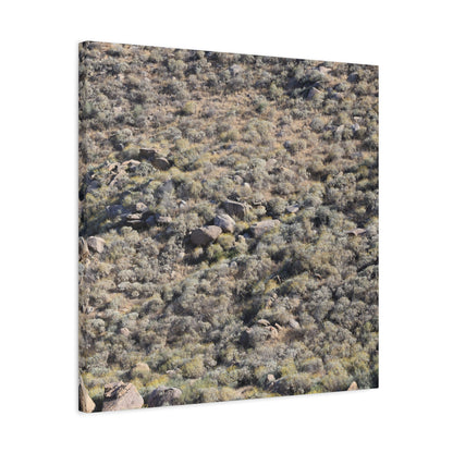 Desert Landscape with Scattered Rocks and Sage - Unique Frameless Canvas Wall Art - Art By Earth
