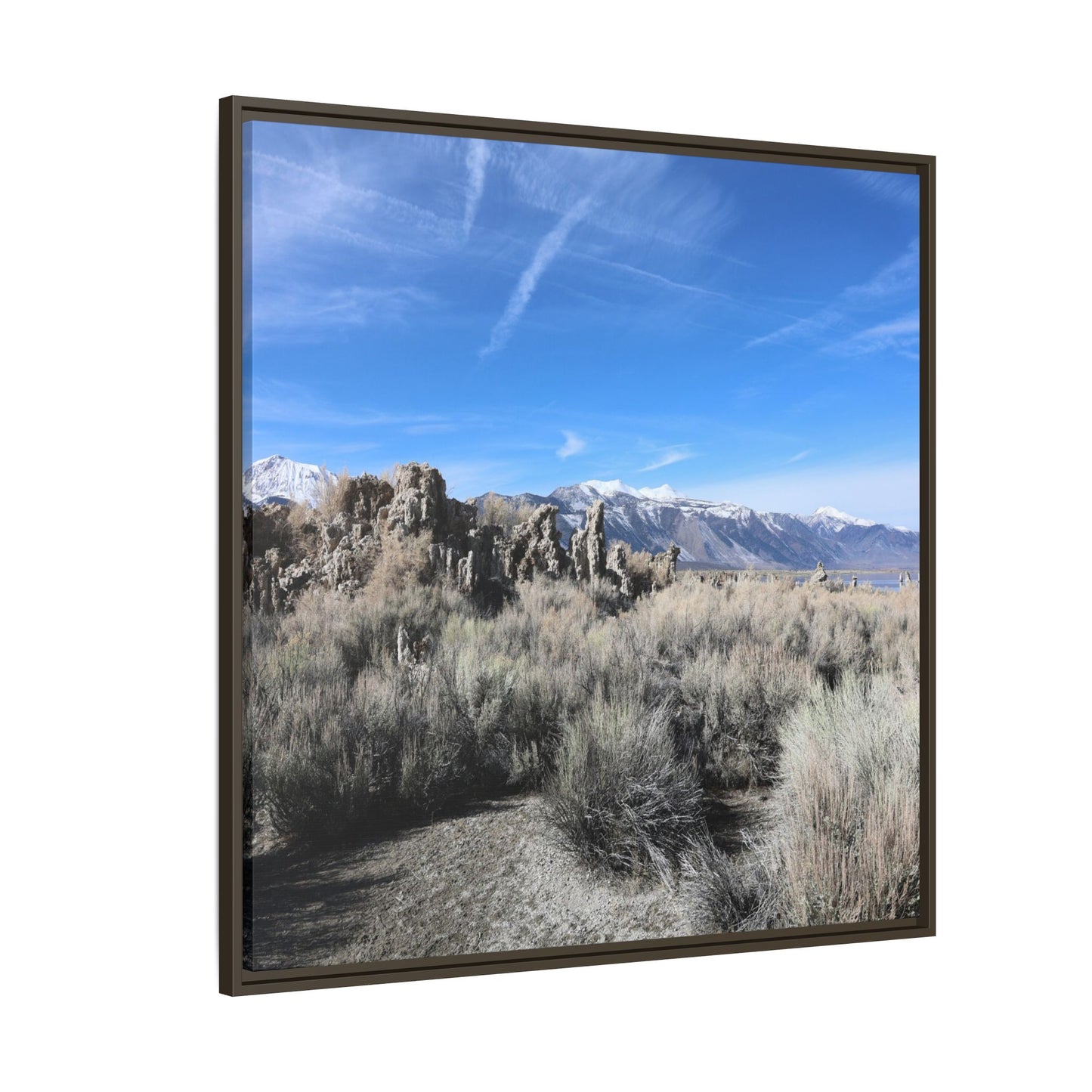 Whispers of the Sagebrush Steppe - Unique Stretched Canvas Wall Art