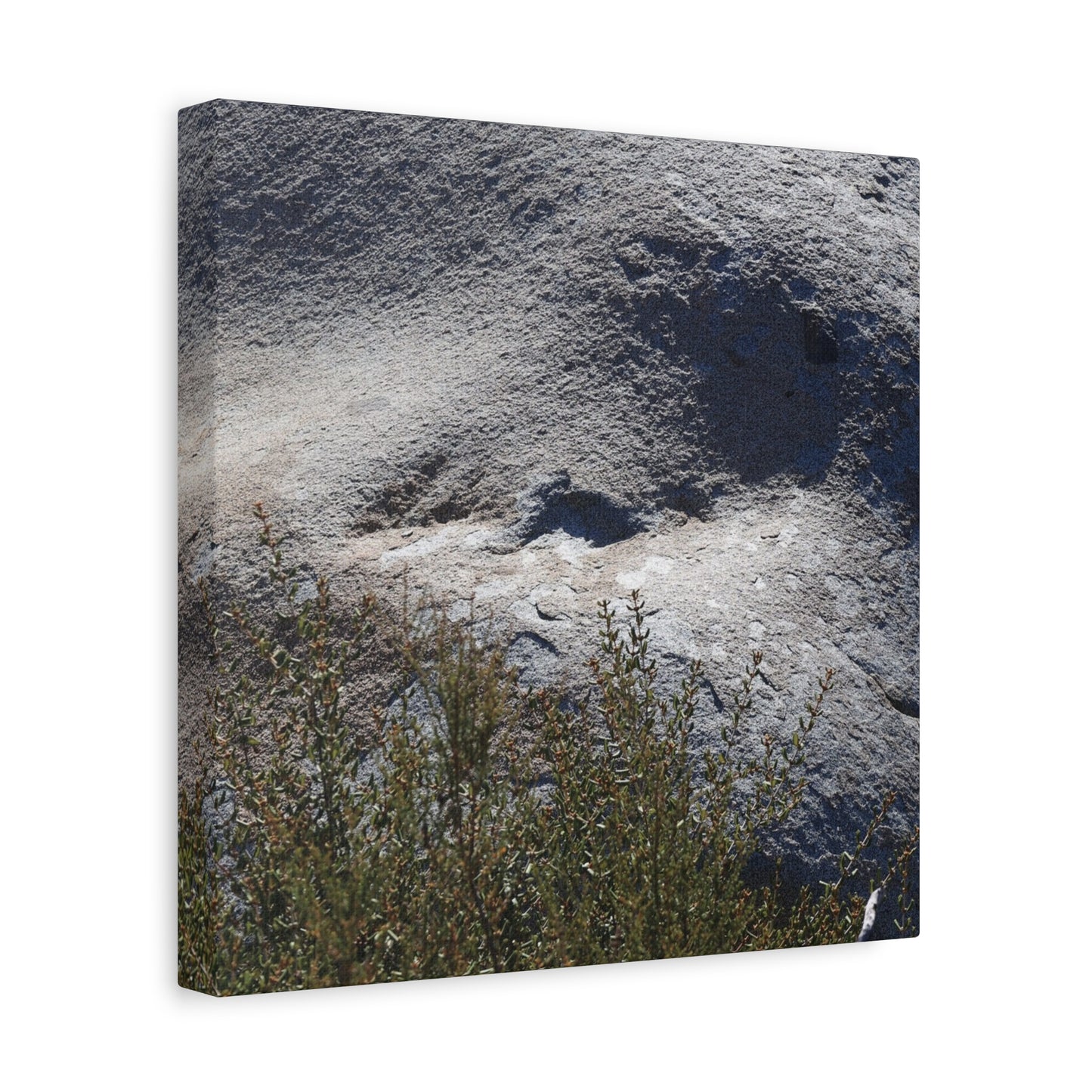 Stone Face in Nature - Unique Frameless Canvas Wall Art