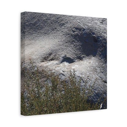 Stone Face in Nature - Unique Frameless Canvas Wall Art
