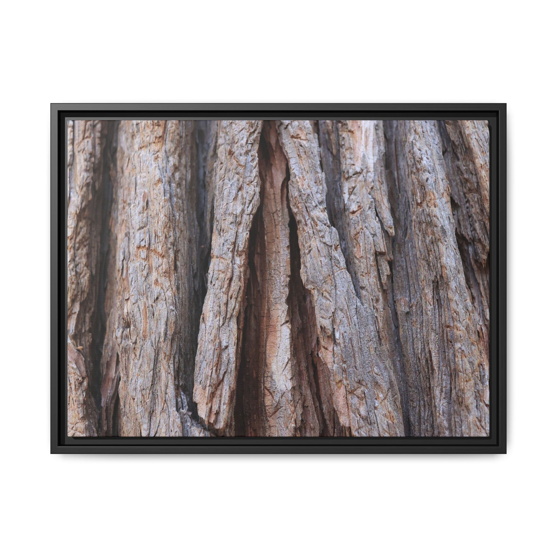 Nature's Sculpture - Unique Stretched Canvas Wall Art - Art By Earth