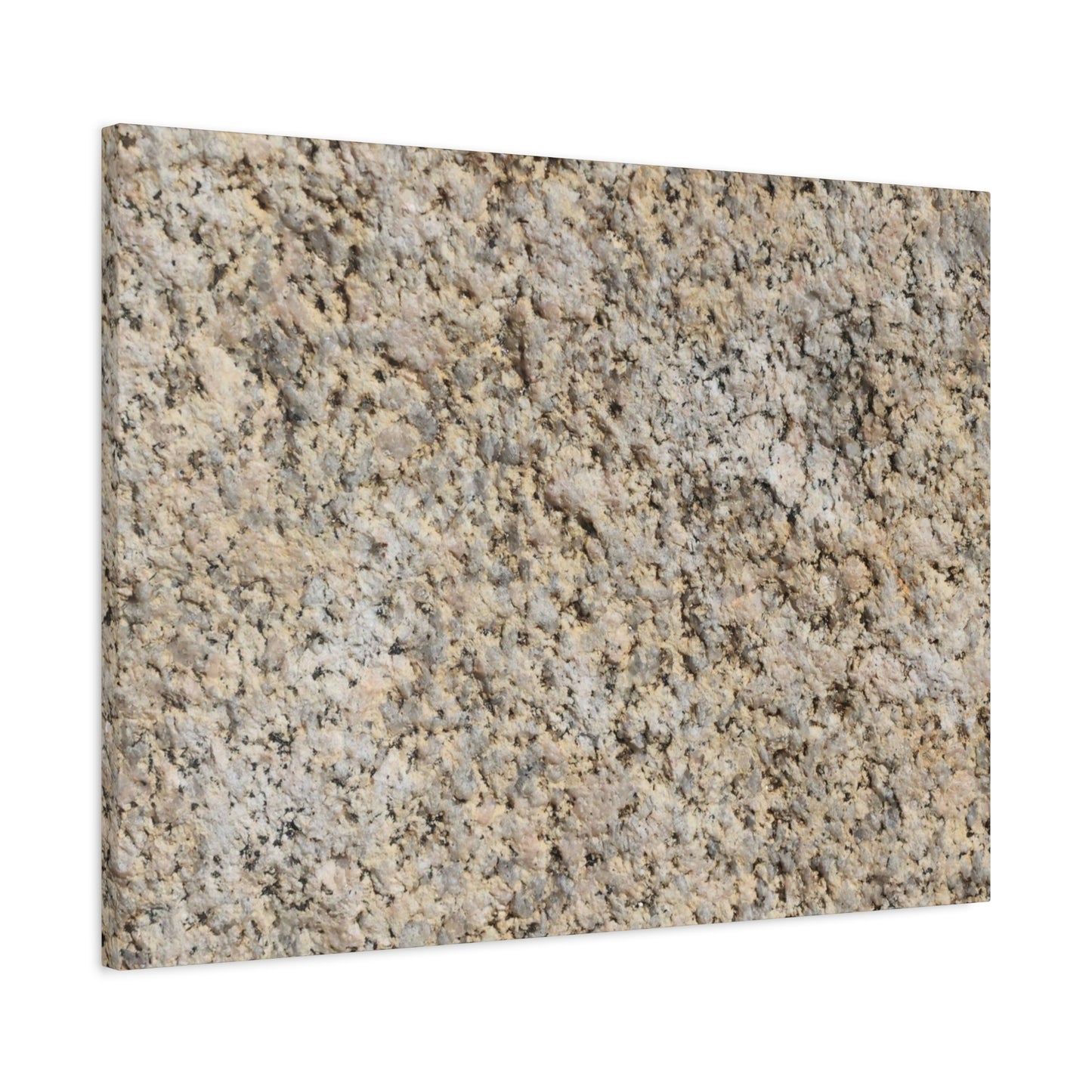 Granular Echoes - Unique Frameless Canvas Wall Art - Art By Earth