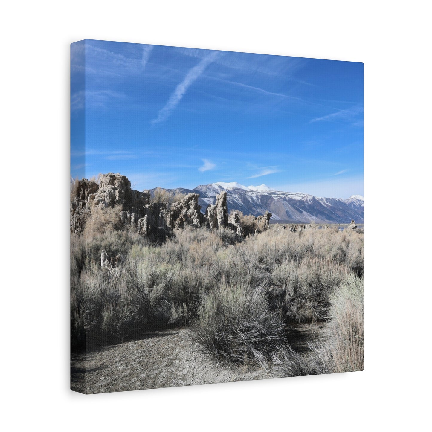Echoes of Solitude - Unique Frameless Canvas Wall Art