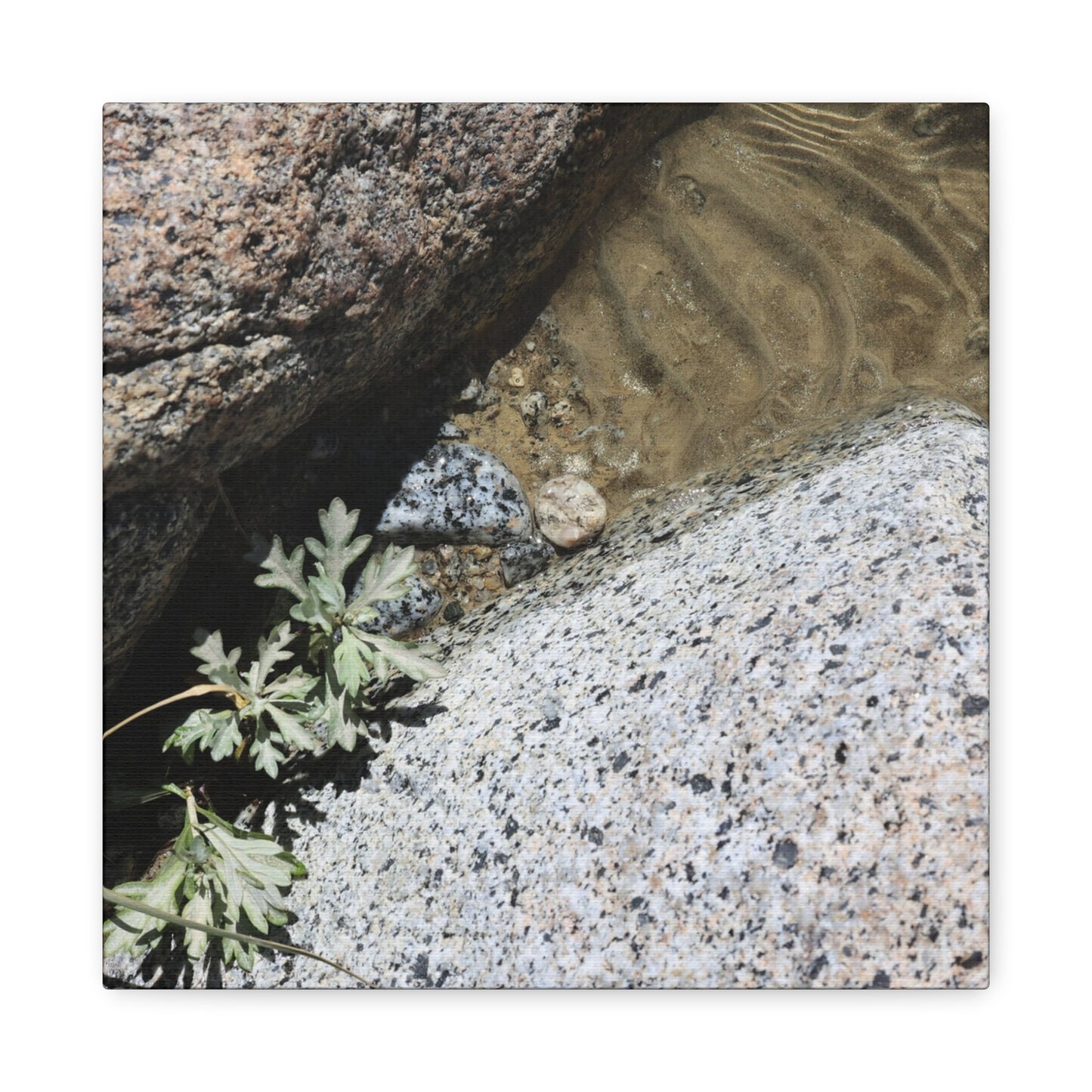 Between Stone and Sand - Unique Frameless Canvas Wall Art - Art By Earth