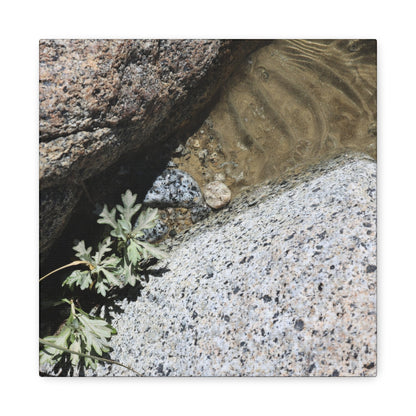 Between Stone and Sand - Unique Frameless Canvas Wall Art - Art By Earth
