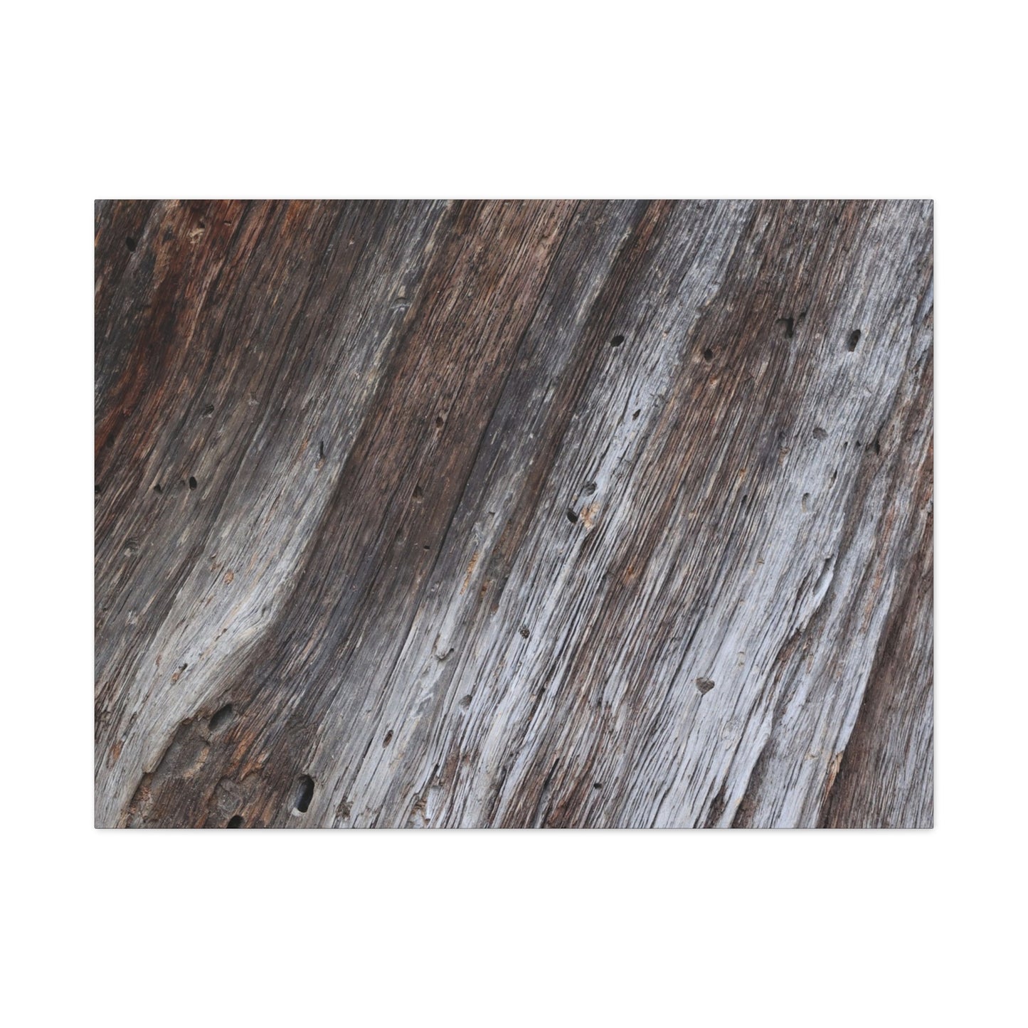 Aged Planks - Unique Frameless Canvas Wall Art - Art By Earth