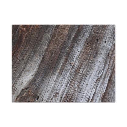 Aged Planks - Unique Frameless Canvas Wall Art - Art By Earth