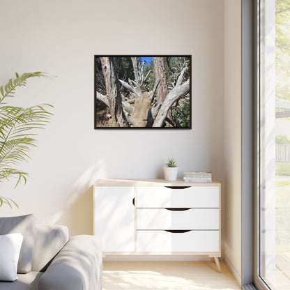 Forest Sentinels - Unique Stretched Canvas Wall Art