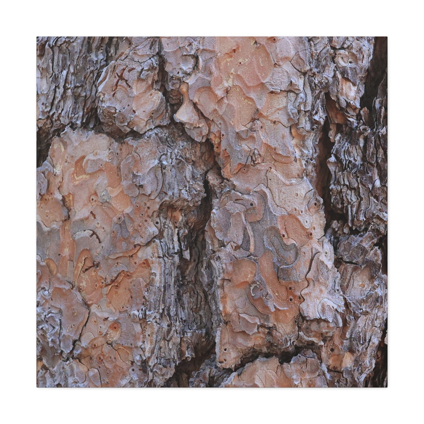 Arboreal Armor - Unique Frameless Canvas Wall Art - Art By Earth