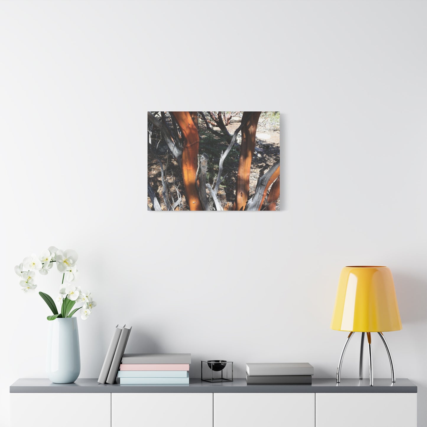 Peeling Bark of Ancient Trees - Unique Frameless Canvas Wall Art