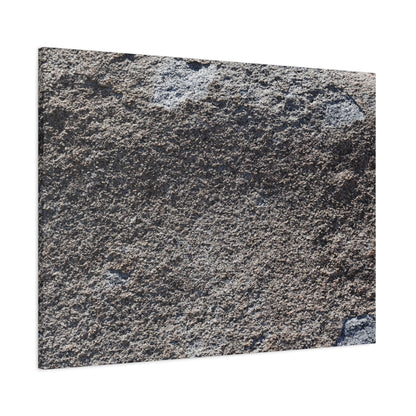 Earth's Canvas - Unique Frameless Canvas Wall Art