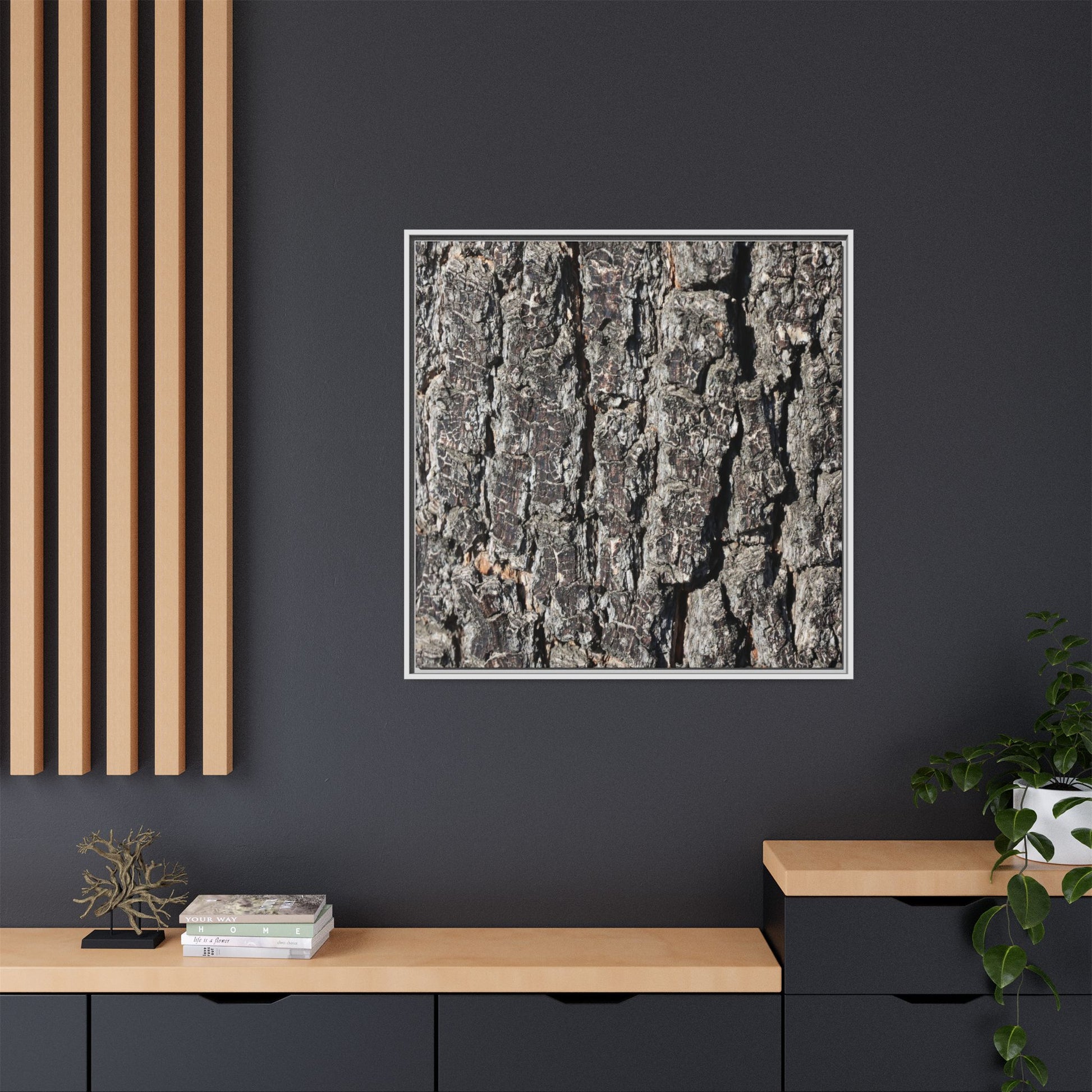 Bark Study in Gray - Unique Stretched Canvas Wall Art - Art By Earth