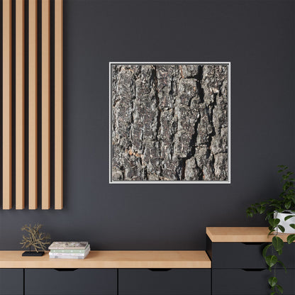 Bark Study in Gray - Unique Stretched Canvas Wall Art - Art By Earth