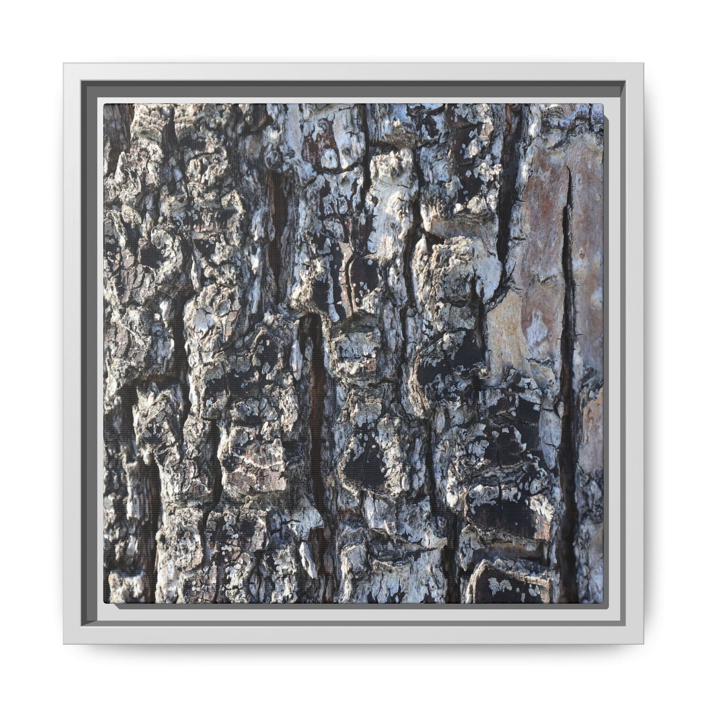The Bark Chronicles - Unique Stretched Canvas Wall Art - Art By Earth