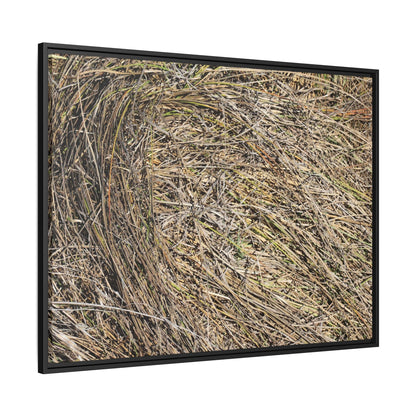 Tangled Grass Symphony - Unique Stretched Canvas Wall Art - Art By Earth