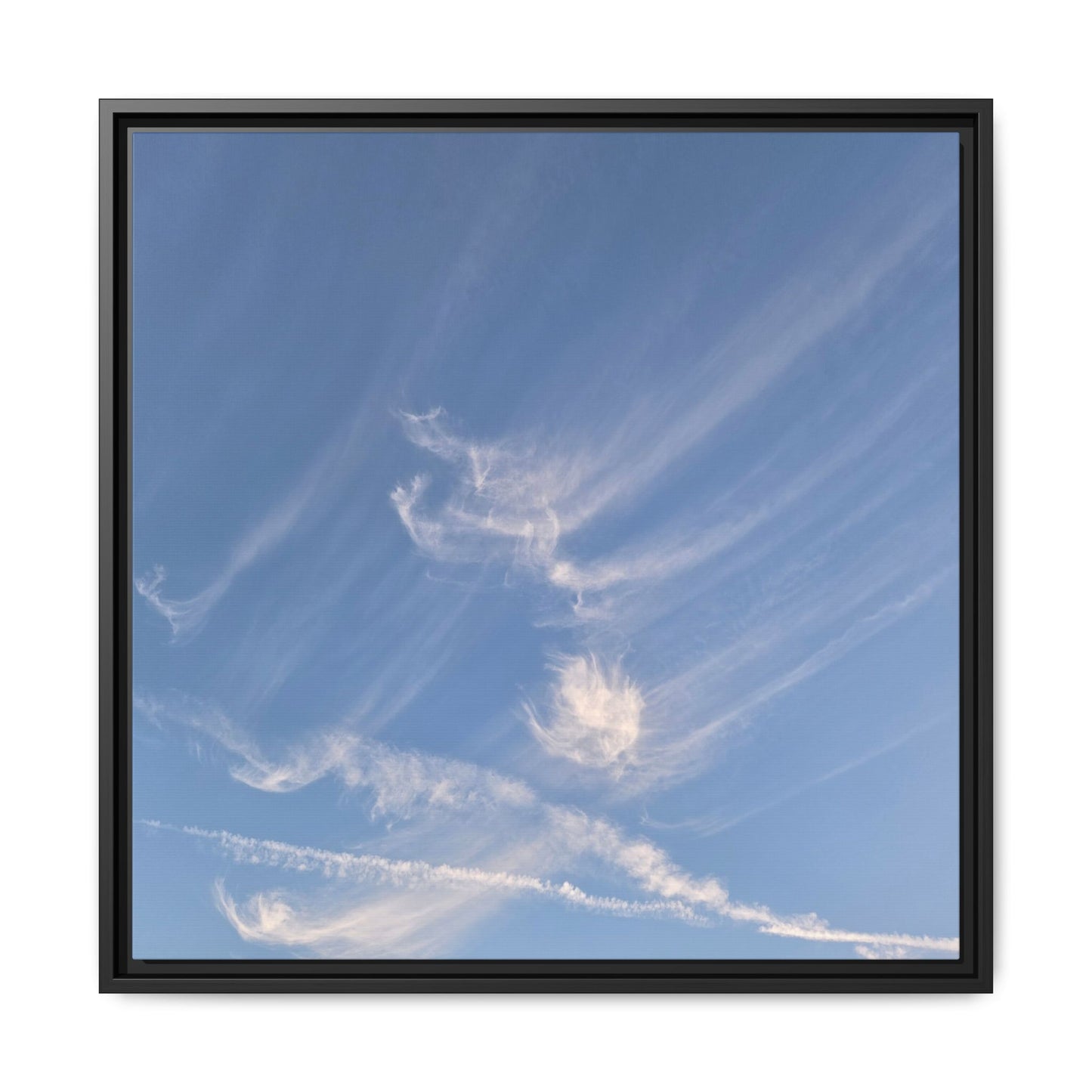 Wispy Dreams - Unique Stretched Canvas Wall Art - Art By Earth
