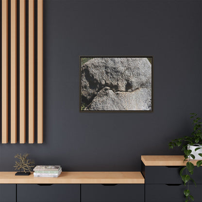 Stone Skull in Desert - Unique Stretched Canvas Wall Art