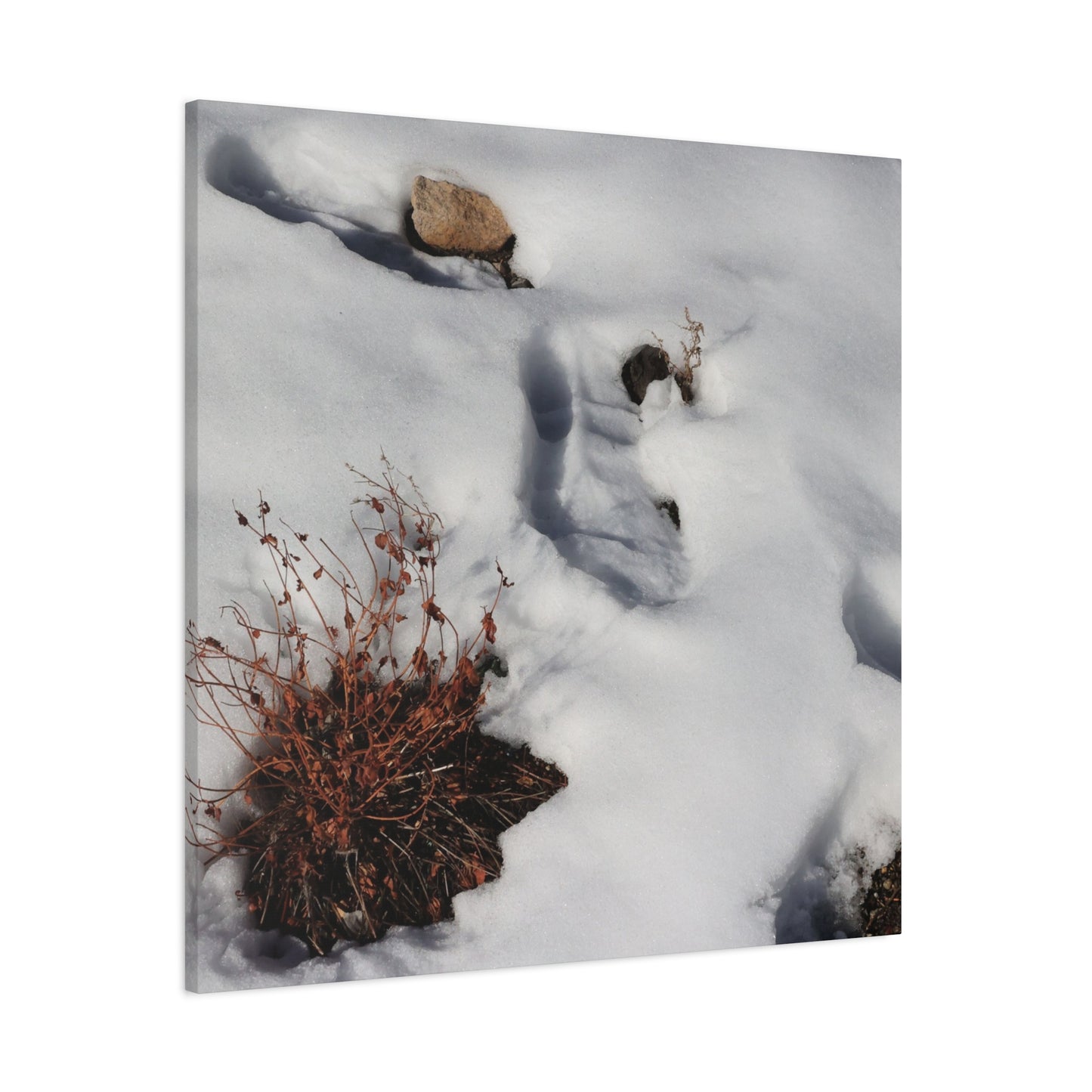 Snow's Tender Embrace - Unique Frameless Canvas Wall Art