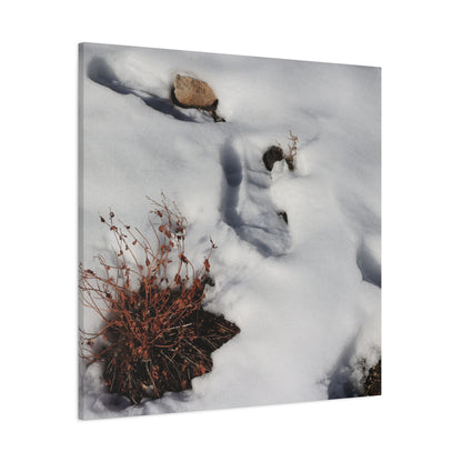 Snow's Tender Embrace - Unique Frameless Canvas Wall Art
