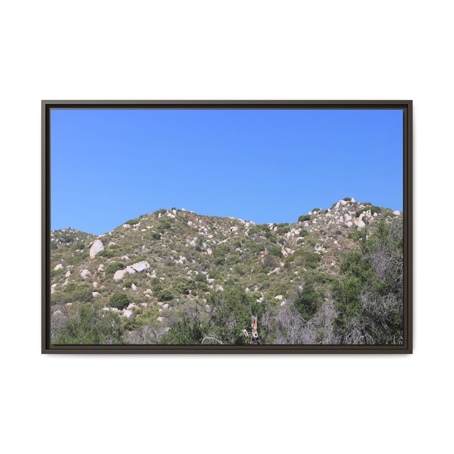 Sparse Vegetation - Unique Stretched Canvas Wall Art