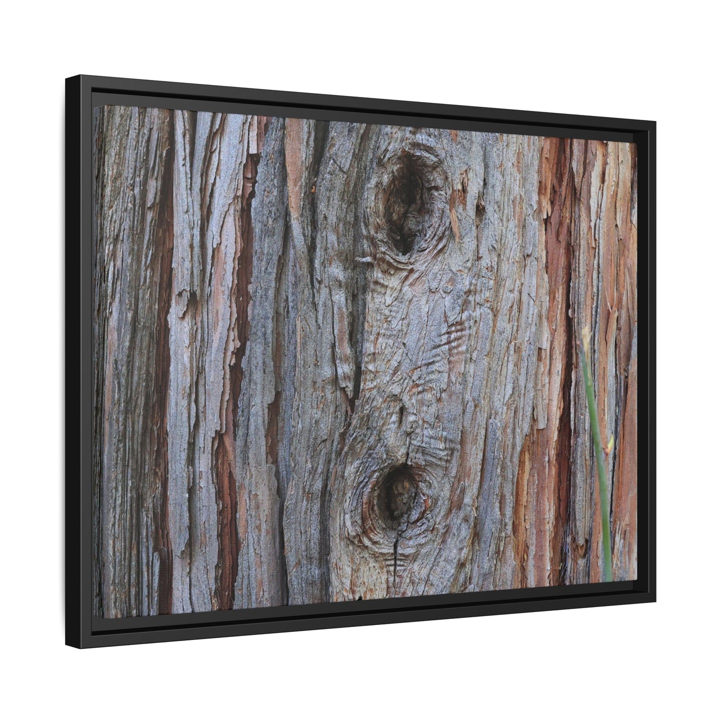 Knotty Nature - Unique Stretched Canvas Wall Art - Art By Earth