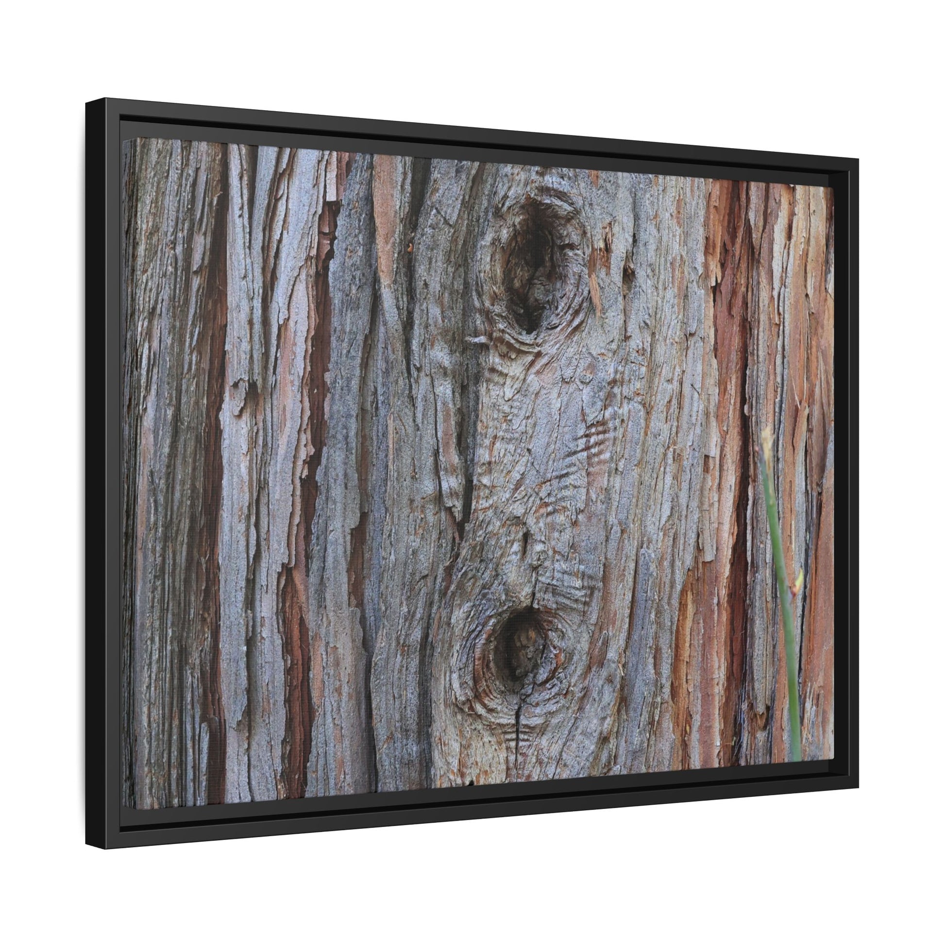 Knotty Nature - Unique Stretched Canvas Wall Art - Art By Earth