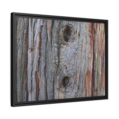 Knotty Nature - Unique Stretched Canvas Wall Art - Art By Earth