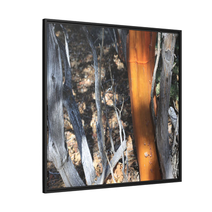 Burnt Trees and Golden Trunk - Unique Stretched Canvas Wall Art