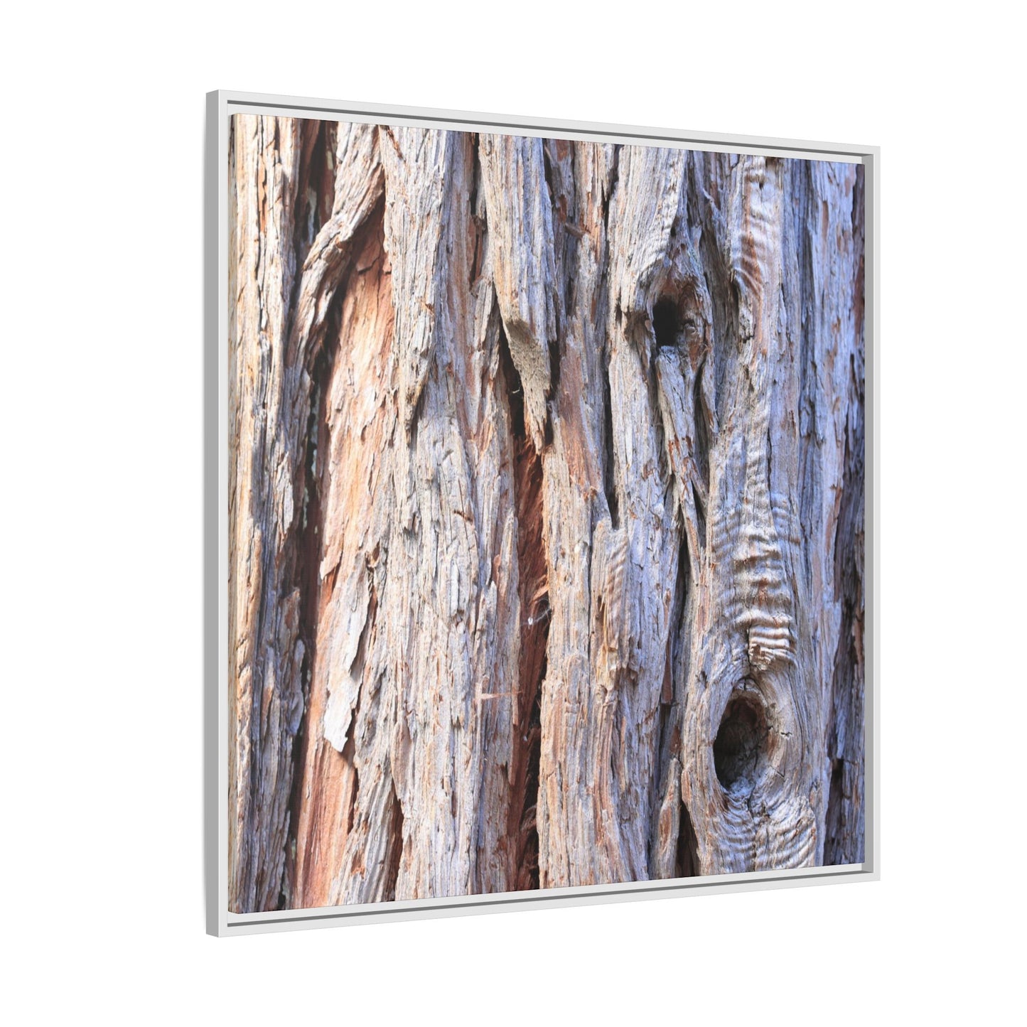 Nature's Grain - Unique Stretched Canvas Wall Art - Art By Earth