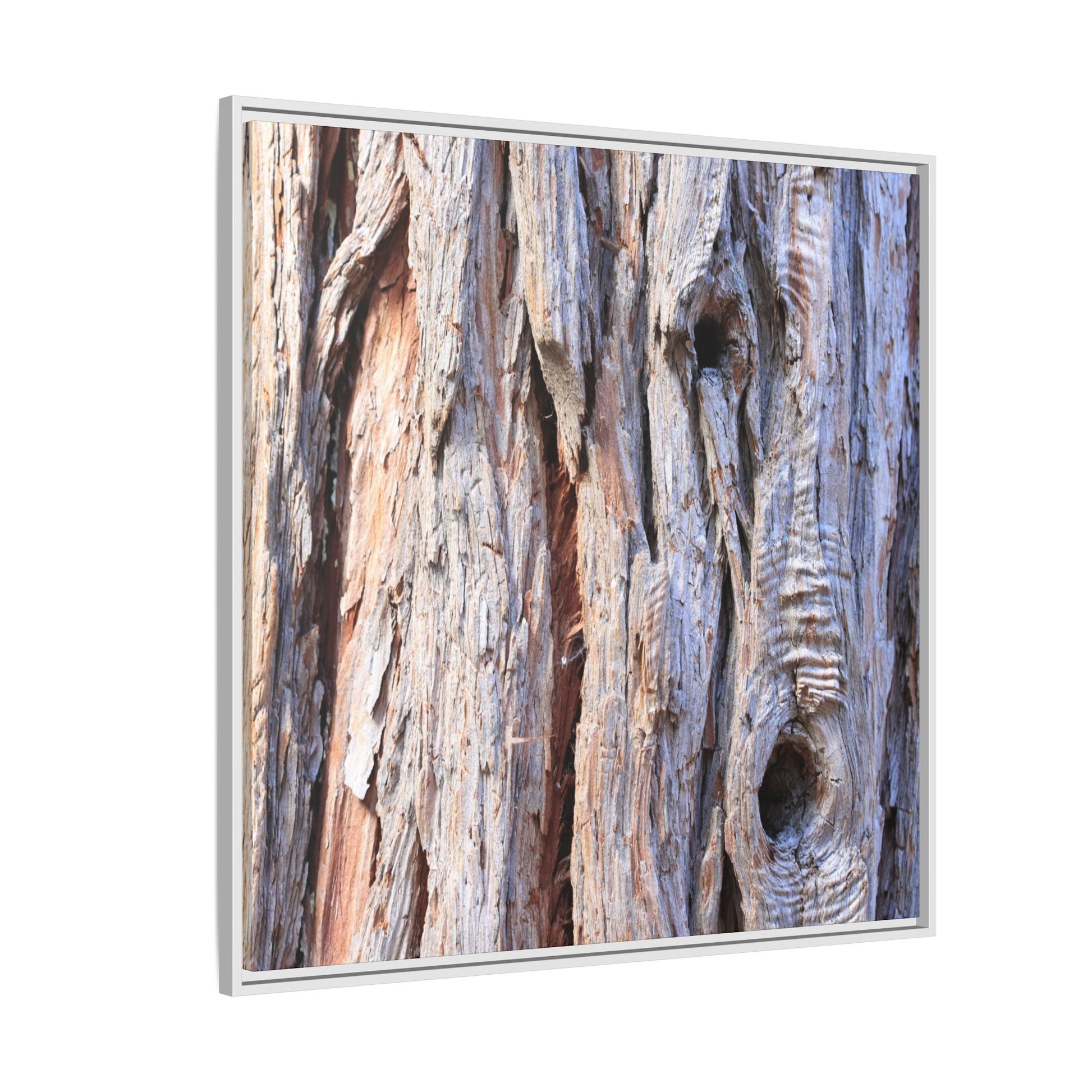 Nature's Grain - Unique Stretched Canvas Wall Art - Art By Earth
