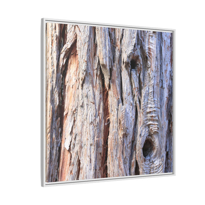 Nature's Grain - Unique Stretched Canvas Wall Art - Art By Earth