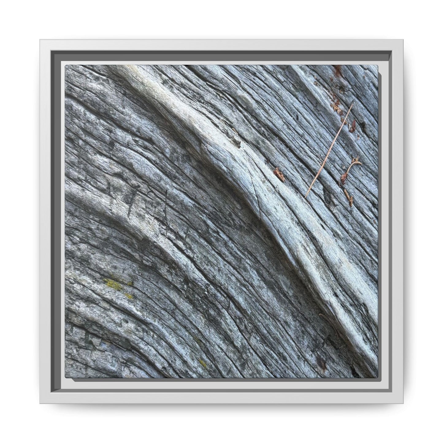 Aged Timber - Unique Stretched Canvas Wall Art - Art By Earth