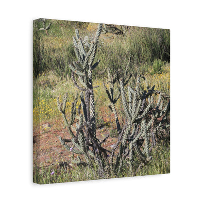 Desert Bloom in Shadow - Unique Frameless Canvas Wall Art - Art By Earth