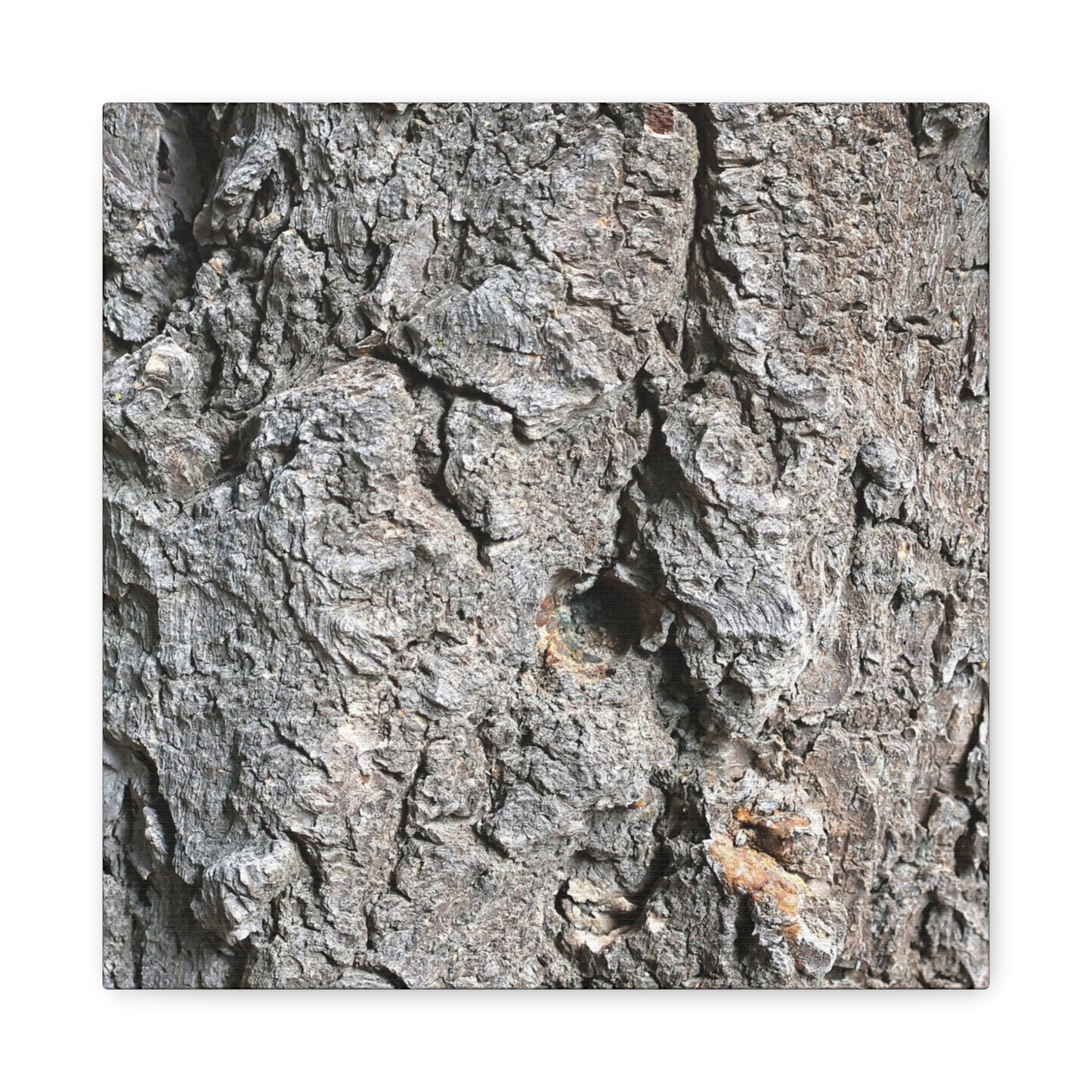 Elemental Canvas - Unique Frameless Canvas Wall Art - Art By Earth