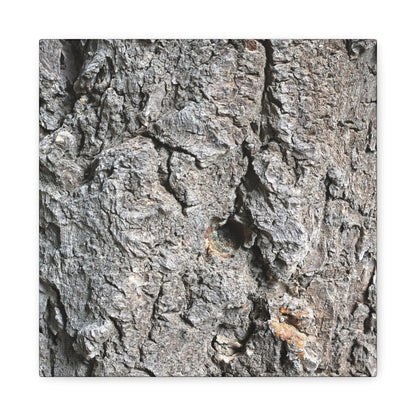 Elemental Canvas - Unique Frameless Canvas Wall Art - Art By Earth