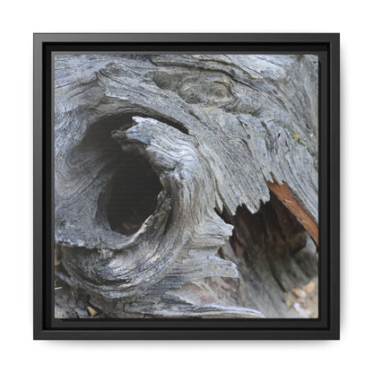 Bark's Labyrinth - Unique Stretched Canvas Wall Art - Art By Earth