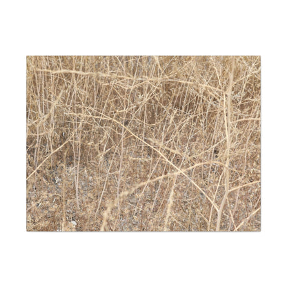 Dry Echoes - Unique Frameless Canvas Wall Art - Art By Earth