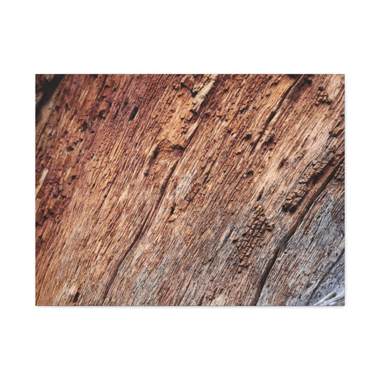 Natural Wood Grain - Unique Frameless Canvas Wall Art - Art By Earth