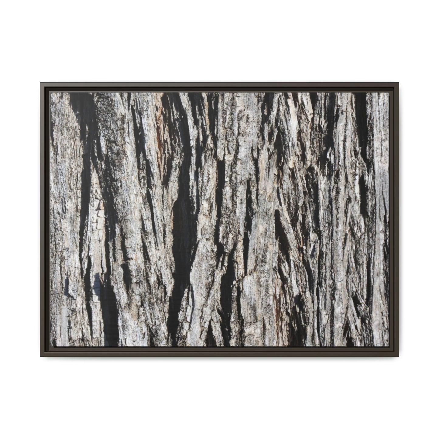 Bark Lines - Unique Stretched Canvas Wall Art - Art By Earth