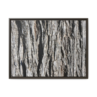 Bark Lines - Unique Stretched Canvas Wall Art - Art By Earth