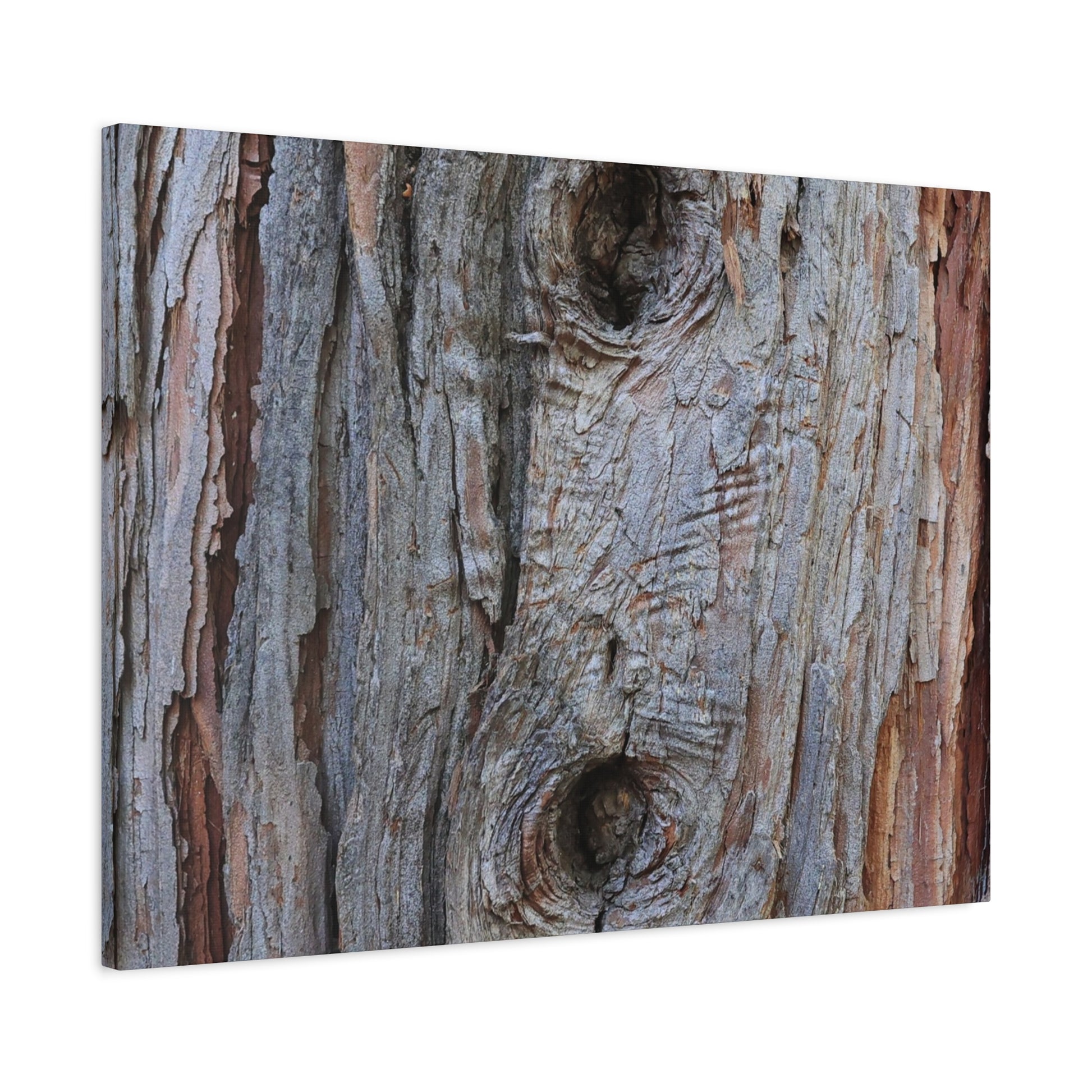 Wooden Memoir - Unique Frameless Canvas Wall Art - Art By Earth